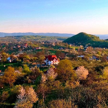 Casa Comilor Bed & Breakfast Surdesti  ภายนอก รูปภาพ