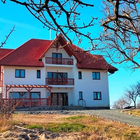 Casa Comilor Bed & Breakfast Surdesti  ภายนอก รูปภาพ