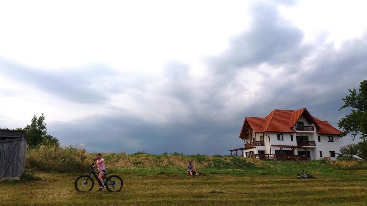 Casa Comilor Bed & Breakfast Surdesti  ภายนอก รูปภาพ