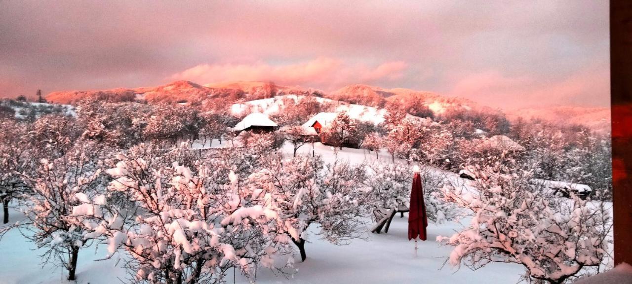 Casa Comilor Bed & Breakfast Surdesti  ภายนอก รูปภาพ