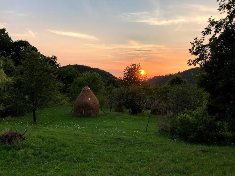 Casa Comilor Bed & Breakfast Surdesti  ภายนอก รูปภาพ